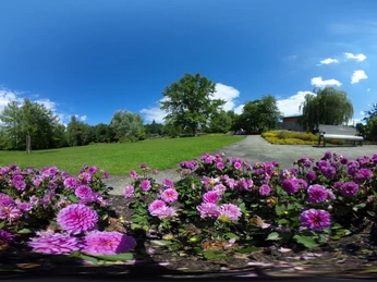 Blumenbeete im Kurpark Bad Bevensen Blumenbeete im Kurpark Bad Bevensen