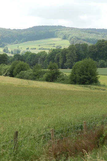 Landschaft an der Egge Grüne Wiesen und üppige Wälder erstrecken sich harmonisch, im Hintergrund sanfte Hügelketten.