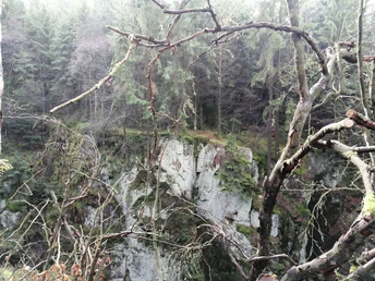 Blick auf einen bewaldeten Felsabhang, umrahmt von kahlen Ästen, in einer herbstlichen Waldlandschaft.