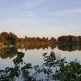 Ein ruhiger See mit Segelbooten am Ufer, umgeben von Bäumen, reflektiert den Abendhimmel.