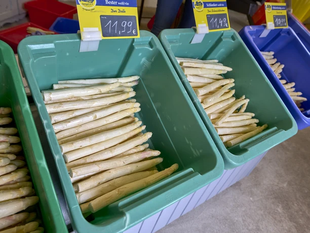 SpargelGUT Braunschweiger Land