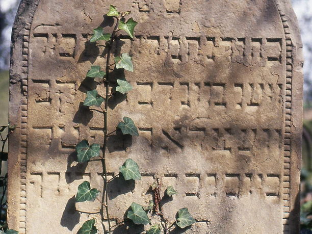 Der Jüdische Friedhof Schwarzrheindorf Der Jüdische Friedhof Schwarzrheindorf