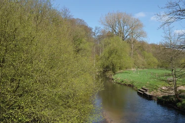 Ilmenau bei Medingen Ilmenau bei Medingen