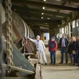 Erzbergwerk Rammelsberg Goslar, Besuchergruppe in der Erzaufbereitung. Erzbergwerk Rammelsberg Goslar, Besuchergruppe in der Erzaufbereitung. Foto: Stefan Sobotta / VISUM Rammelsberg ore mine in Goslar, group of visitors in the ore processing plant. Photo: Stefan Sobotta / VISUM Mine de minerai de Rammelsberg Goslar, groupe de visiteurs dans le traitement du minerai. Photo : Stefan Sobotta / VISUM Ertsmijn Rammelsberg in Goslar, groep bezoekers in de ertsverwerkingsinstallatie. Foto: Stefan Sobotta / VISUM Rammelsberg malmmine i Goslar, gruppe af besøgende i malmforarbejdningsanlægget. Foto: Stefan Sobotta / VISUM