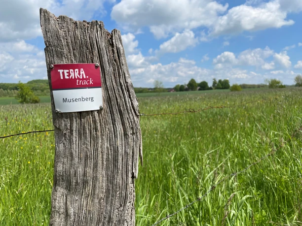 TERRA.track Musenberg Wooden pole with Terra-Track sign "Musenberg" in front of a green meadow and blue sky.
