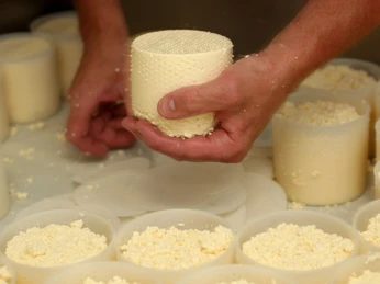 Bio Bergkäserei Bio Bergkäserei