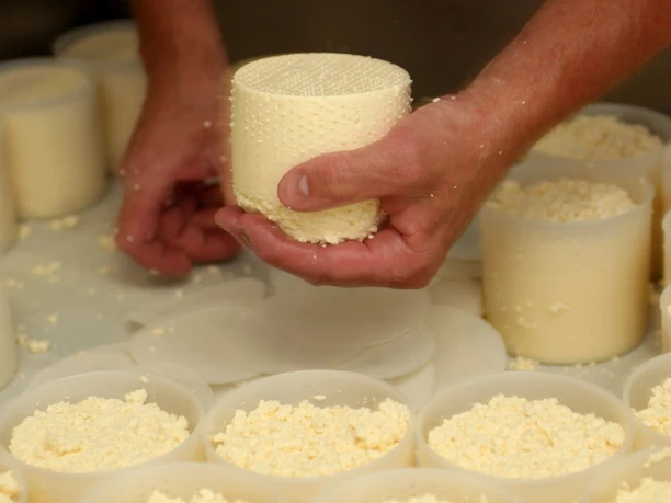 Bio Bergkäserei Bio Bergkäserei