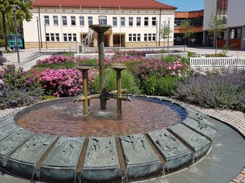 Der Dreizehnlindenbrunnen auf dem Rathausvorplatz in Bad Driburg Dreizehnlindenbrunnen vor dem Rathaus in Bad Driburg.