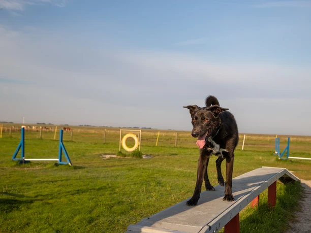 Fun-Agility-Park Neßmersiel