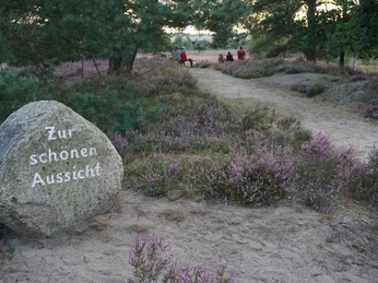 Behringer-heide.JPG Ein großer Stein mit der Inschrift "Zur schönen Aussicht" am Wegesrand, flankiert von violett blühender Heide.