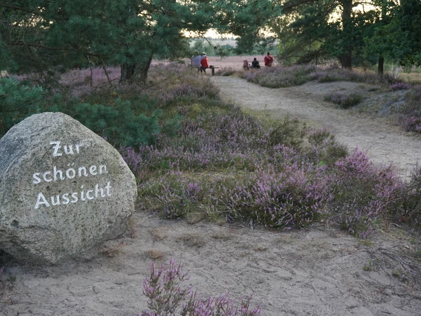 Behringer-heide.JPG Ein großer Stein mit der Inschrift "Zur schönen Aussicht" am Wegesrand, flankiert von violett blühender Heide.