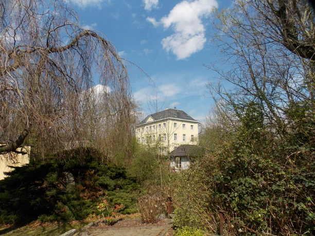 Graue Burg mit Bäumen