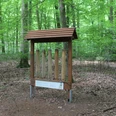 Holzkonstruktion mit Infotafel in dichtem grünen Wald umgeben von Laub auf dem Waldboden.