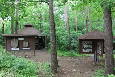Holzhäuser im Wald mit Schautafeln zur Natur umgeben von grünen Bäumen und dichtem Laubwerk.