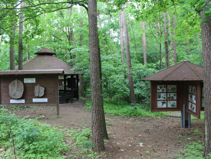 Holzhäuser im Wald mit Schautafeln zur Natur umgeben von grünen Bäumen und dichtem Laubwerk.