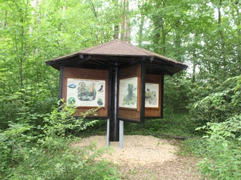 Naturlehrpfad Holzüberdachtes Informationsschild auf einem Naturlehrpfad, umgeben von dichtem, grünem Wald.