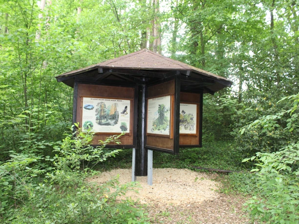 Holzüberdachtes Informationsschild auf einem Naturlehrpfad, umgeben von dichtem, grünem Wald.