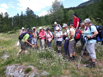 Spycherhof Spycherhof