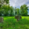 Ahlder Kreuzsteine