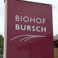 Biohof Bursch 2018-04-29 Frühlingserwachen im Vorgebirge, Bornheim