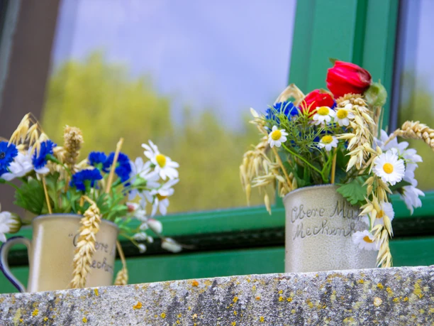 Blumen am Mühlenfest 2018 Frühling Meckenheim