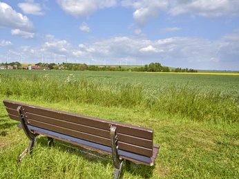 Hohlweg Winnigstedt Hohlweg Winnigstedt