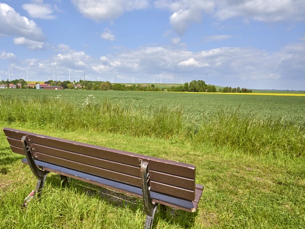 Hohlweg Winnigstedt Hohlweg Winnigstedt