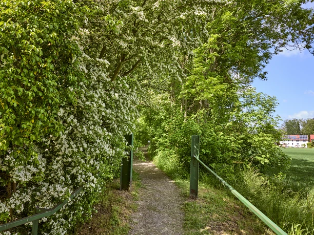 Hohlweg Winnigstedt Hohlweg Winnigstedt