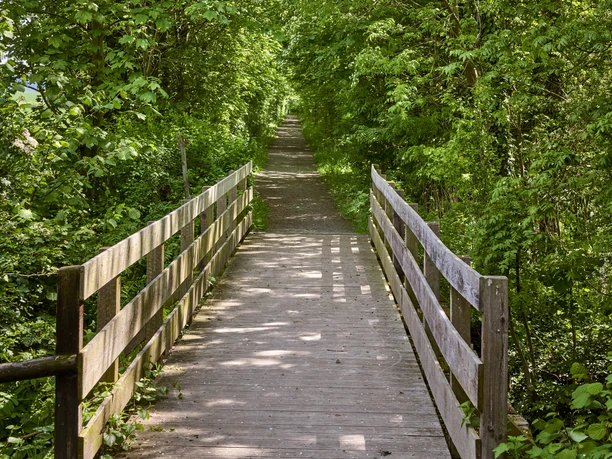 Hohlweg Winnigstedt Hohlweg Winnigstedt