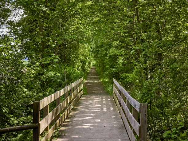 Hohlweg Winnigstedt Hohlweg Winnigstedt