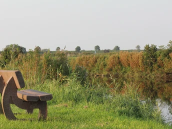 Abendstimmung am Altensieler Wanderweg, Dornumersiel.JPG