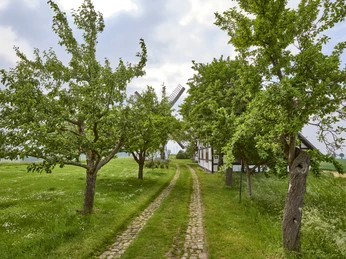 Mühle Hedeper Mühle Hedeper