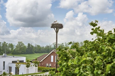 Storchennest Hedeper Storchennest Hedeper