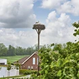 Storchennest Hedeper Storchennest Hedeper