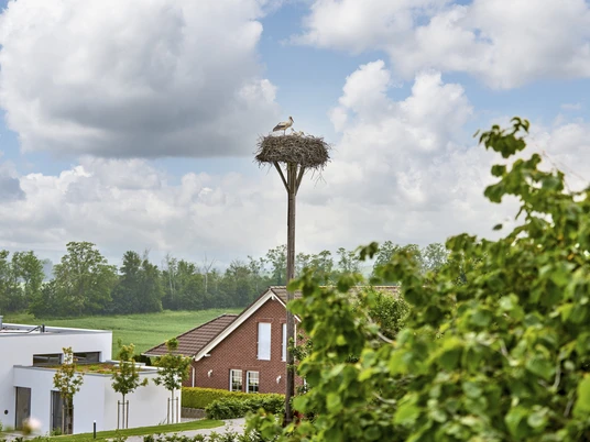 Storchennest Hedeper Storchennest Hedeper