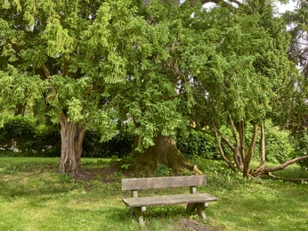 Kraftplatz mit Bank bei der Kirche in Hedeper Kraftplatz mit Bank bei der Kirche in Hedeper