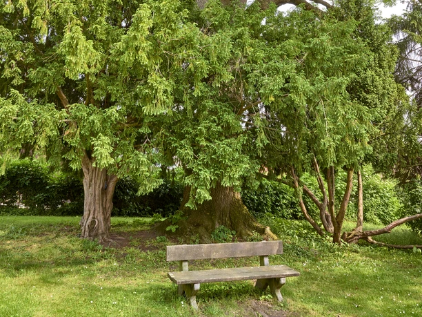 Kraftplatz mit Bank bei der Kirche in Hedeper Kraftplatz mit Bank bei der Kirche in Hedeper