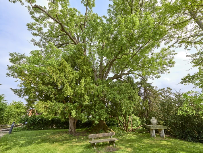Kraftplatz mit Bank bei der Kirche in Hedeper Kraftplatz mit Bank bei der Kirche in Hedeper