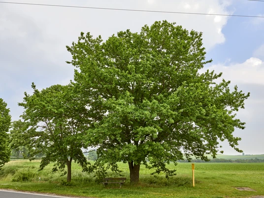 Rastplatz Hedeper Ortseingang Rastplatz Hedeper Ortseingang