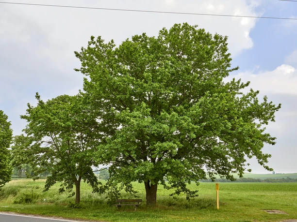 Rastplatz Hedeper Ortseingang Rastplatz Hedeper Ortseingang