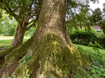 Kraftplatz mit Bank bei der Kirche in Hedeper Kraftplatz mit Bank bei der Kirche in Hedeper