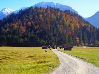 Reschbergwiesen im Herbst