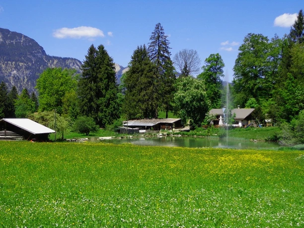 Kochelberg-Alm Grüne Wiese vor einem Teich mit Springbrunnen, umgeben von Hütten, Bäumen und Bergkulisse