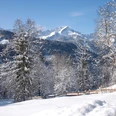 Winterpanorama von der Pfeifferalm /Users/marcgilsdorf/Desktop/Landschaft/Output/.CF015156.jpg