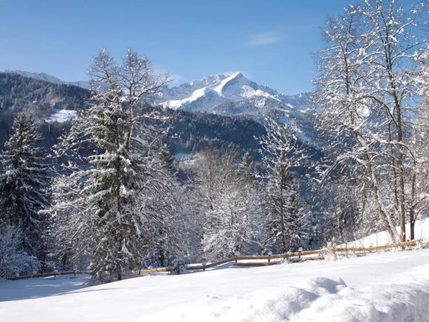 Winterpanorama von der Pfeifferalm Schneebedeckte Berglandschaft mit verschneiten Bäumen und Fernblick auf einen Gipfel