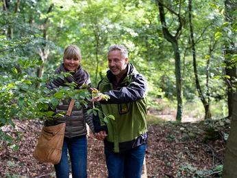 Bad Laer geht Waldbaden