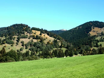 Mountainbiketour Aufacker Runde - Landschaft nach der Abfahrt