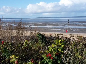 Albrechts Bio-Watt Spezial