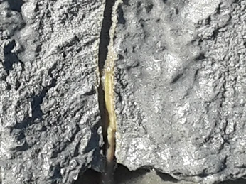 Albrechts Bio-Watt Spezial