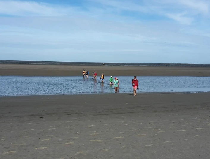 Albrechts Bio-Watt Spezial